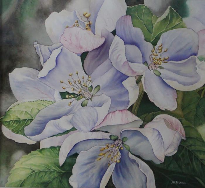 Jennifer Tassmer, <i>Apple Blossoms, </i>watercolor, $1225