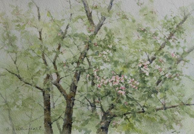 Ann Vaillencourt, Blossoms Waking, watercolor, $600