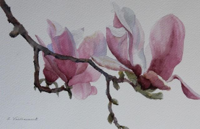 Ann Vaillencourt, <i>Magnolia Daze, </i>watercolor, $700