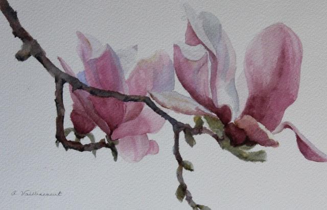 Ann Vaillencourt, Magnolia Daze, watercolor, $700