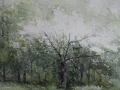 Ann Vaillencourt, <i>May Magnolia, </i>watercolor, $700