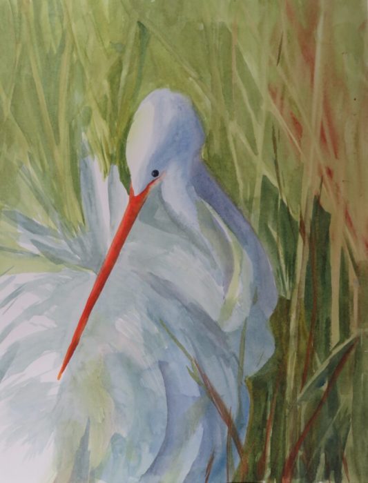 Holly Hall, "Snowy Egret", watercolor, 15x11, $400