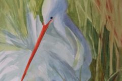 Holly Hall, "Snowy Egret", watercolor, 15x11, $400