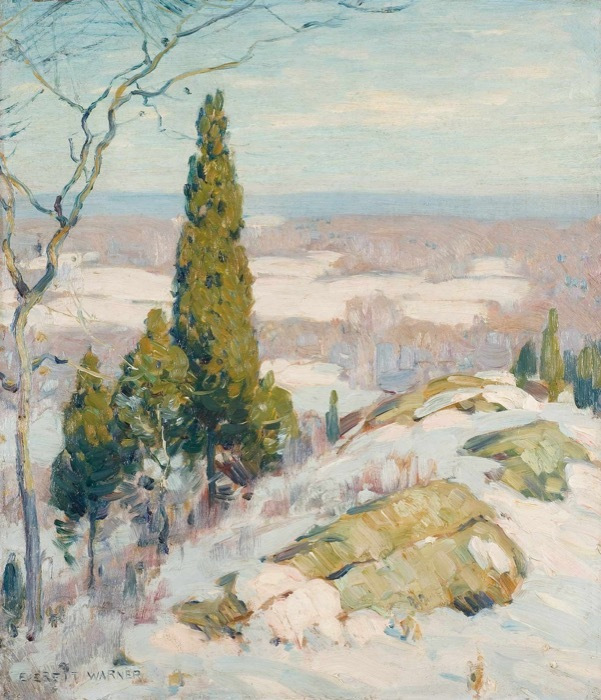Warner-Cedar-in-Snow