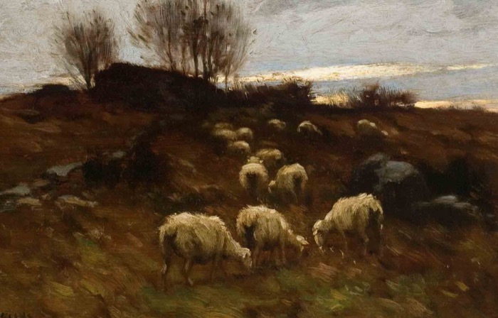 Wiggins-Grazing-Sheep