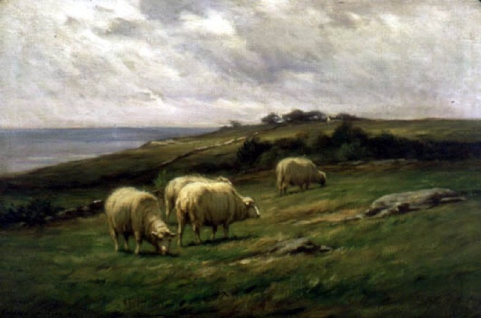 Wiggins-Seaside-Pastures