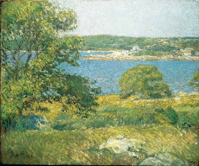 hassam-10lb-Island