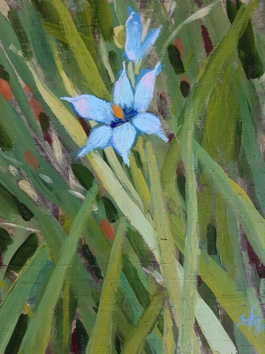 Drought-Nebel_Sara_Blue-Eyed-Grass_6x7_acrylic-on-woodblock