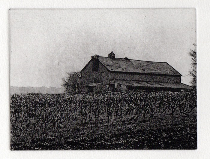 Dunn_Carol_After-the-Harvest_etching_4x5_150