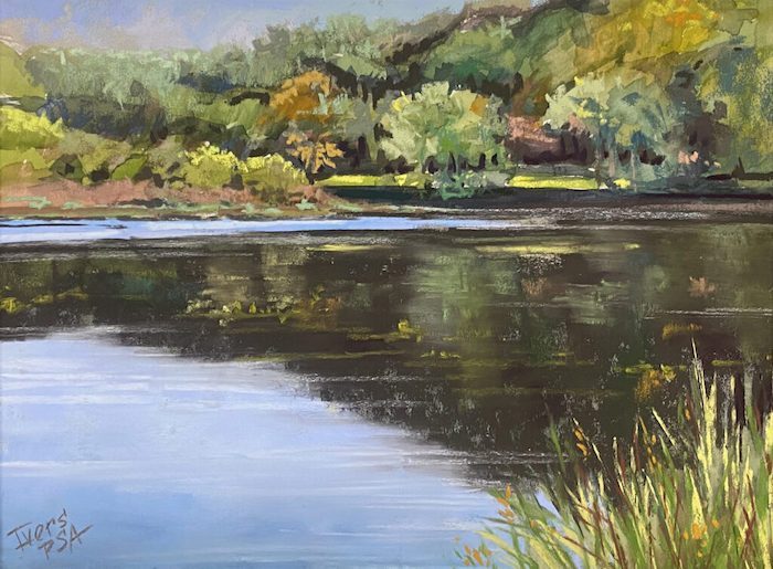 Ivers_Christine_TimeforReflecting_pastel_9x12_400