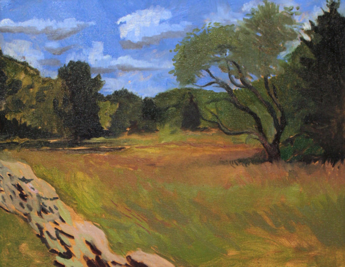 Divita, Shane, "Grassy Hill", Oil, $1100