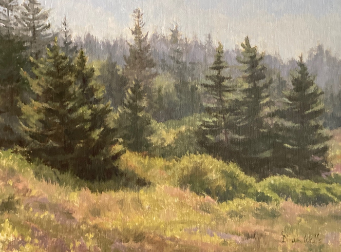 Wells, Dinah, "Bright Mist Monhegan", Oil, $750