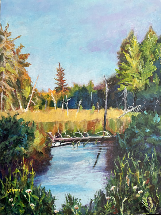 Harris, G. M. , "Bog in Maine", Acrylic, $300