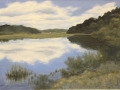 Barrett Peter Reflections