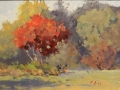 Dean Margaret Afternoon Shadows