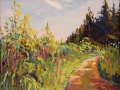 Del Russo Robert Louis White Memorial Land Trust Litchfield CT