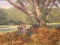 Maiser Barbara Mr Squirrels House