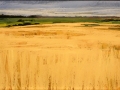 Quinn Munson Deborah Field of Gold