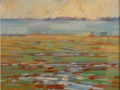 Rogers Diana View Beyond and Through the Marsh