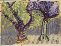 Schmiedel Sharon Trees of Nantucket