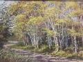 Seekamp Patricia Birches