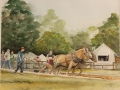 Simler Susan Thompson Horsepower