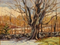 Sonstrom Bill Hint of Spring Grassy Hill Lyme