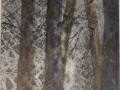 Tracy Kathleen Forest