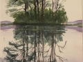 Tracy Kathleen Reflection
