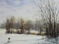 Vaillencourt Ann A Winter Nap