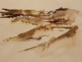 Williams Ann d Tranquility in the Dunes