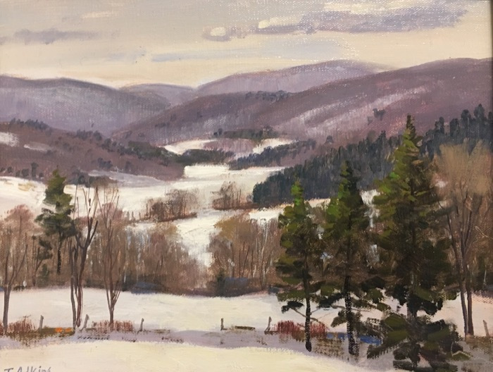 adkinsthomaswinterdistantfields