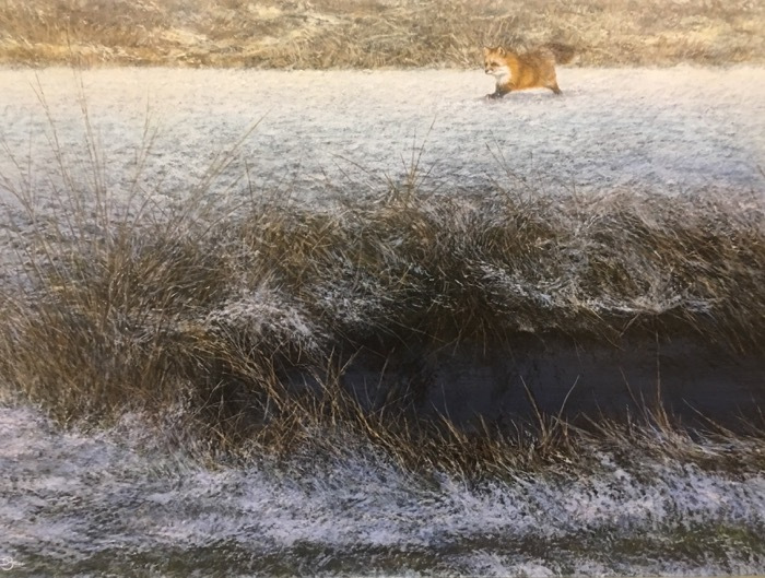 bachdelbourreewinteradventure