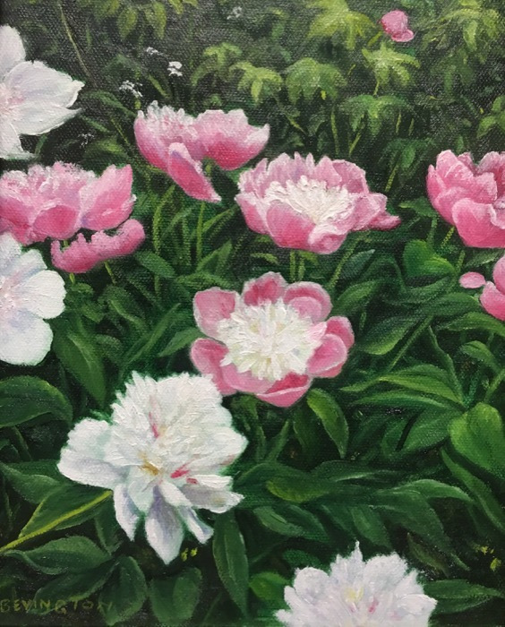 bevingtonphyllisprettyinpink