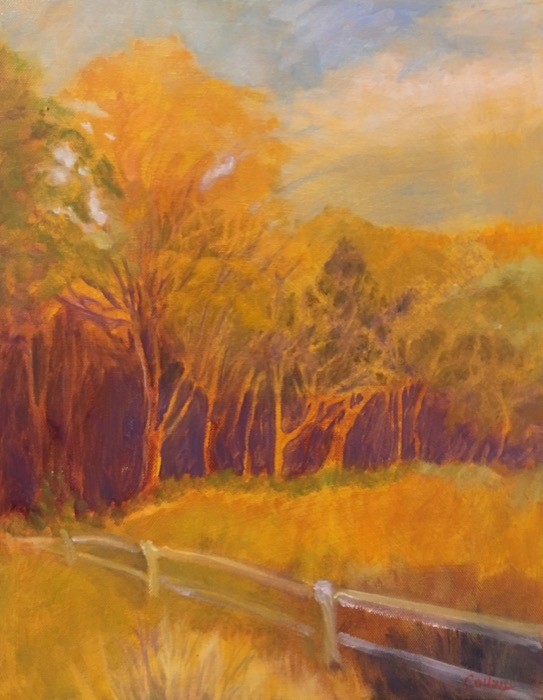 collinsjaneonbujakroad