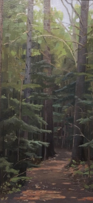 edereileencathedraltrees