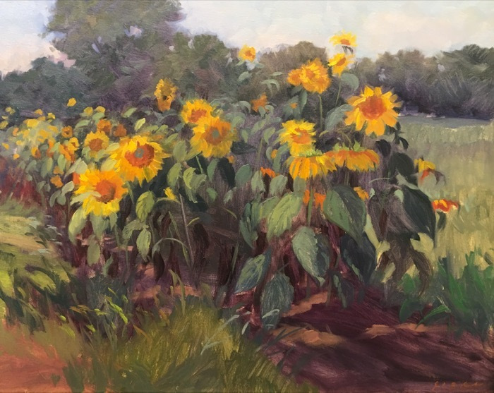 jonesjacquelineseptembersunflowers