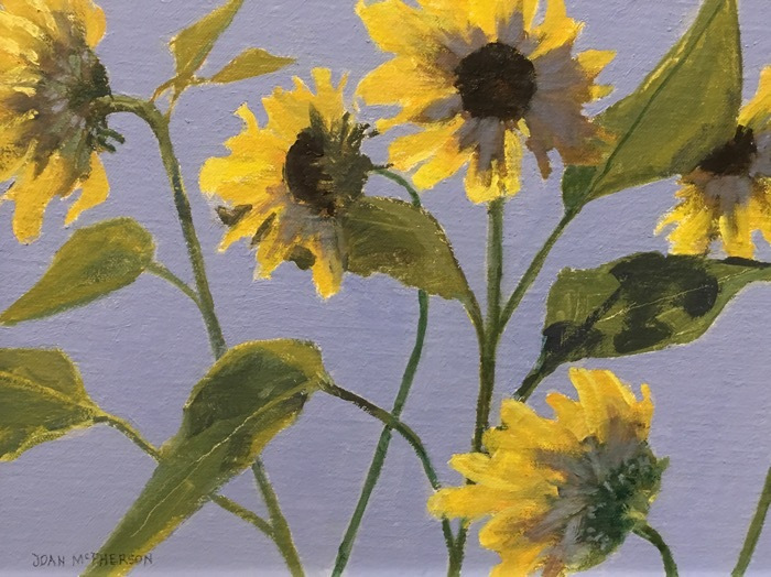 mcphersonjoanmonhegansunflowers