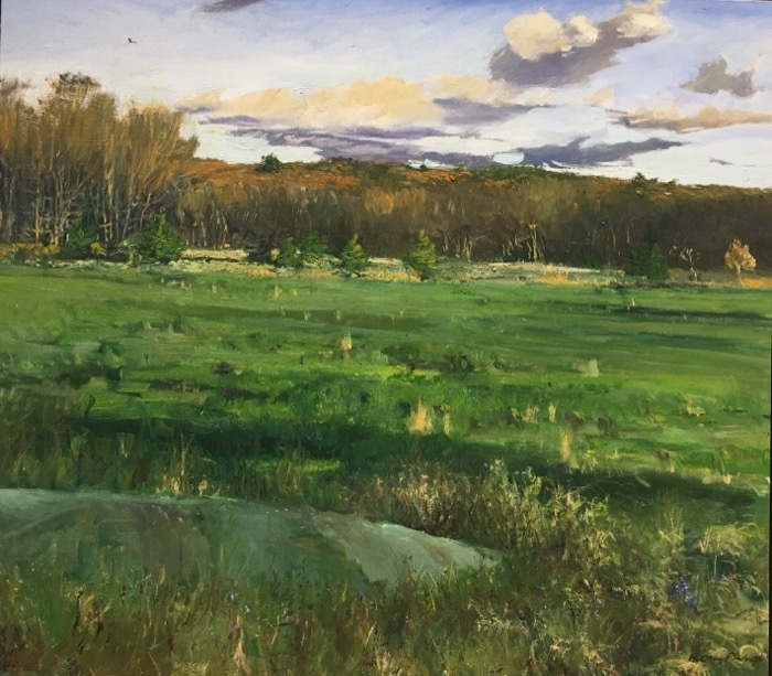 parkivhgrayhayfield