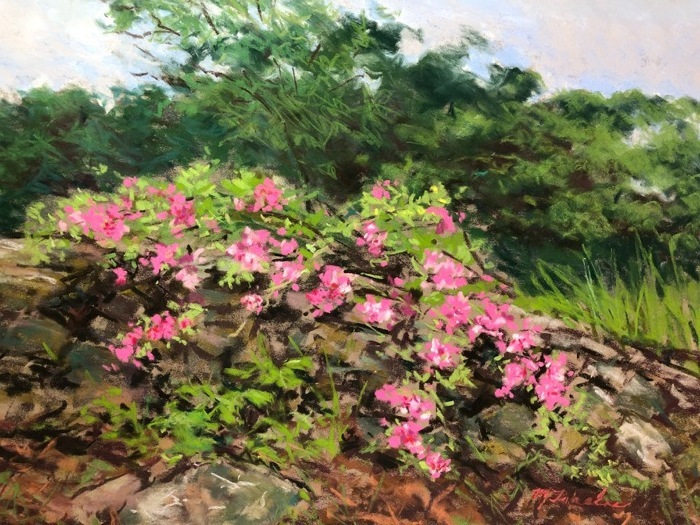 traskospeggywallflower