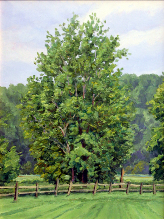 Mike Berlinski, "Farm Tree In June", oil, $850, 12x16