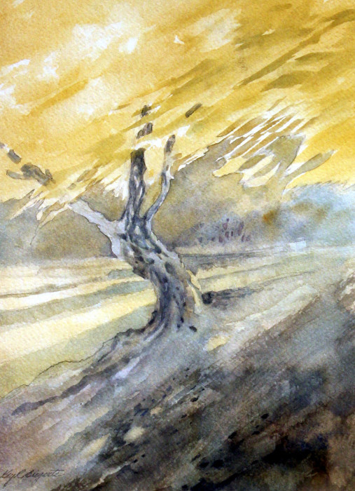 Kay R. Brigante, "Filtered Light", watercolor, $300, 14x18