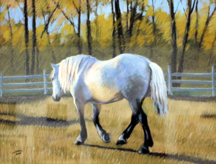 Elaine Juska Joseph, "The Golden Hour", pastel, $900, 16x20
