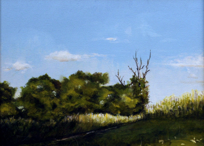Melissa Meredith, "Lasalette Walk", oil, $800, 9x12