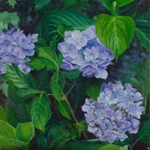 Shawn Sullivan, "Hydrrangeas", oil, $2,400, 16x16