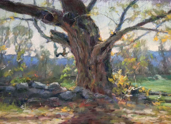 Cean Youngs, "An Old Friend", pastel, $7,000, 18x24