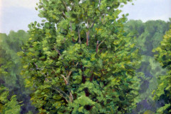 Mike Berlinski, "Farm Tree In June", oil, $850, 12x16