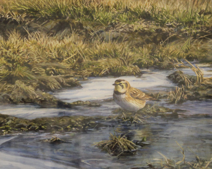 Michael DiGiorgio, "Horned Lark", Watercolor, $1,200