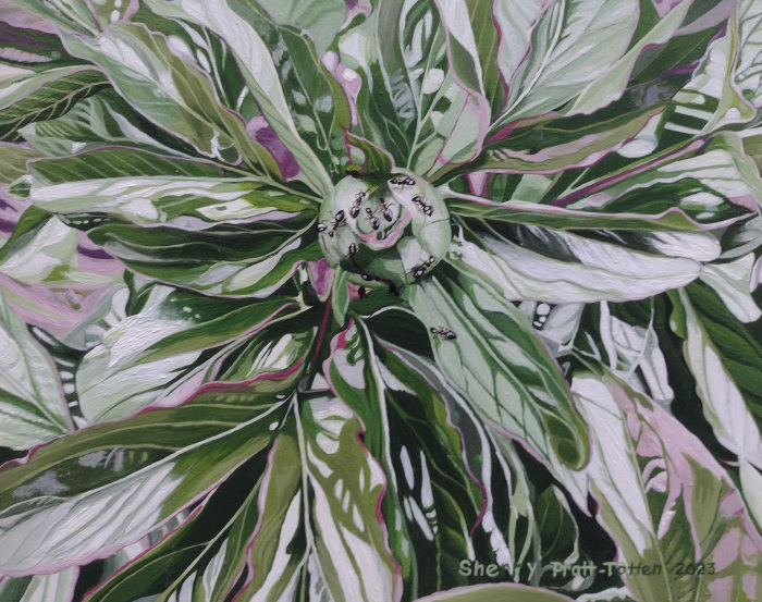 Sherry Pratt-Totten, "Peony Bud with Attend Ants", Acrylic, $1,000