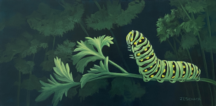 J. Elaine Senack, "Black Swallowtail Caterpillar on Parsley", Acrylic, $970